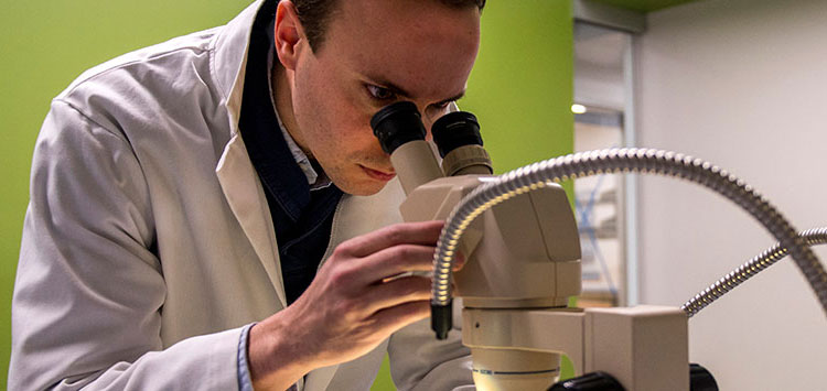 scientist looking into a microscope